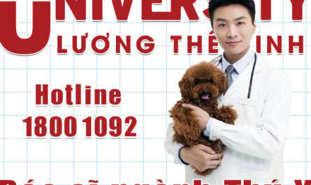 bằng cao đẳng thú y có liên thông đại học được không