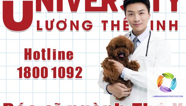 bằng cao đẳng thú y có liên thông đại học được không - Image 1