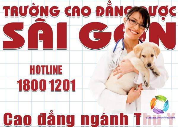 bằng cao đẳng thú y học lên đại học được không - Image 4