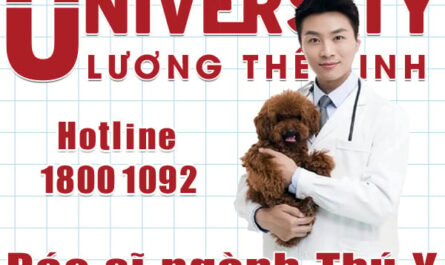 bằng cao đẳng thú y học lên đại học được không