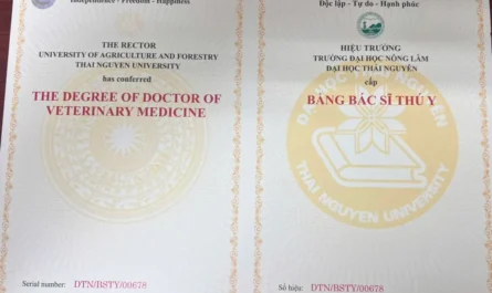 bằng cao đẳng thú y là gì