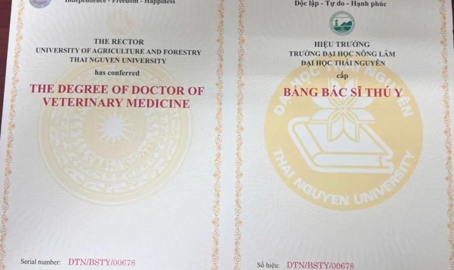 Bằng Cao Đẳng Thú Y Là Gì? Cơ Hội Việc Làm Và Học Tập Chi Tiết Nhất
