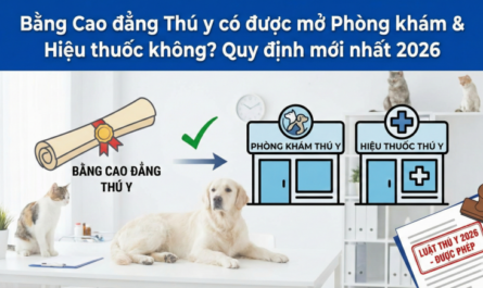 bằng cao đẳng thú y làm bệnh viện thú y được không