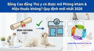 bằng cao đẳng thú y làm phòng khám thú cưng được không