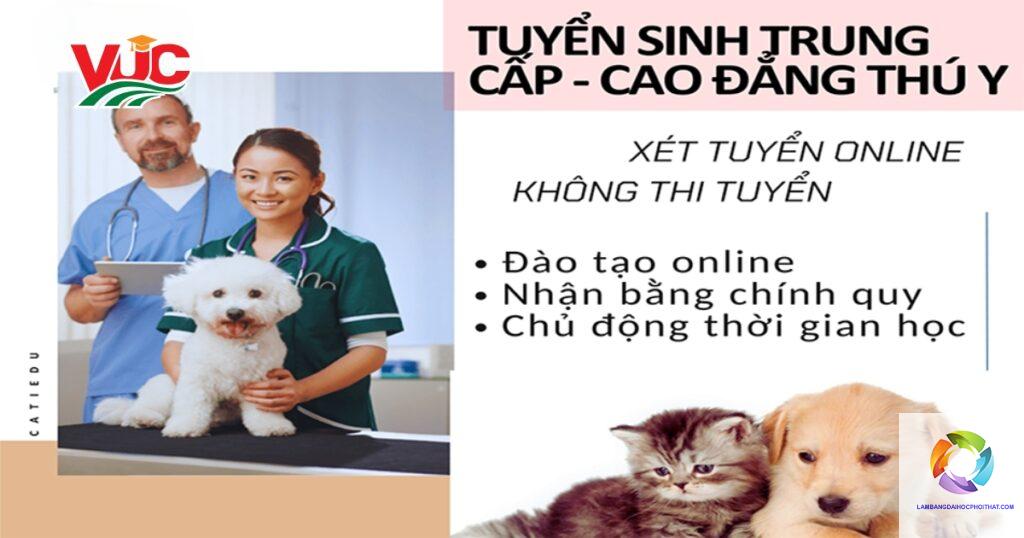 bằng cao đẳng thú y làm trang trại được không - Image 4