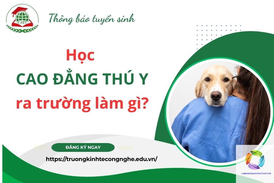 bằng cao đẳng thú y ra làm gì - Image 3