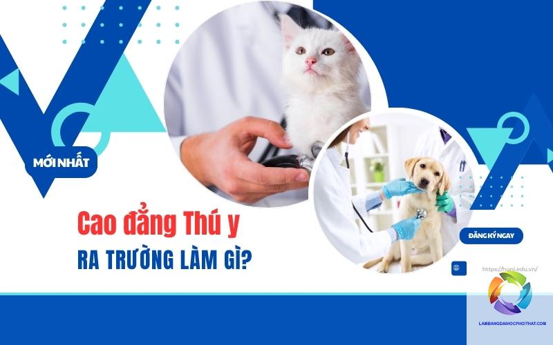 bằng cao đẳng thú y ra làm gì - Image 4