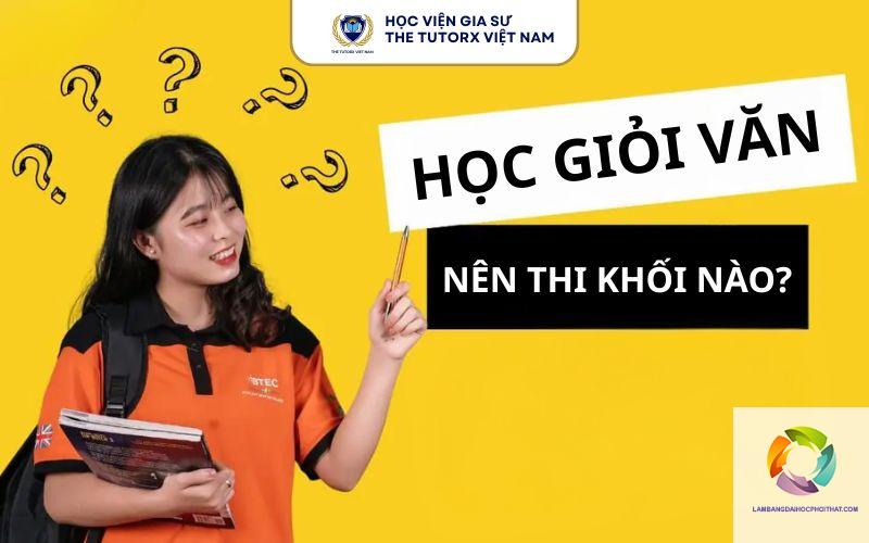 học sinh giỏi văn nên chọn khối nào - Image 2