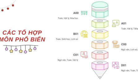 học sinh giỏi văn nên chọn khối nào