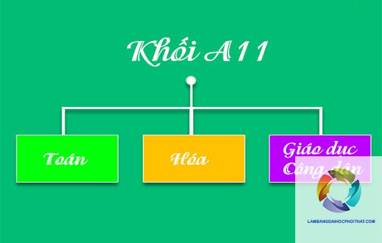 khối a11 gồm những môn nào