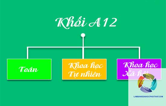 khối a12 gồm những môn nào