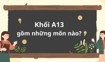 khối a13 gồm những môn nào