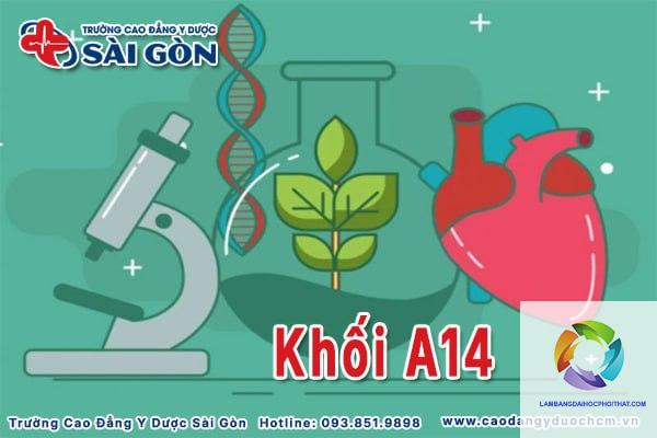 khối a14 gồm những môn nào - Image 5