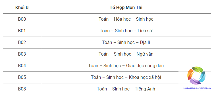 khối b có những tổ hợp môn nào - Image 3