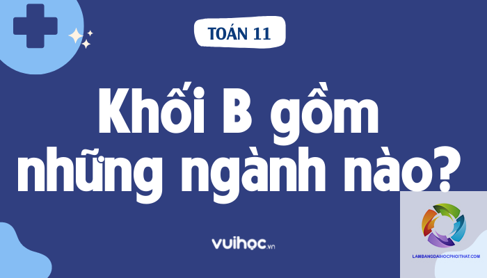khối b có những tổ hợp môn nào - Image 4