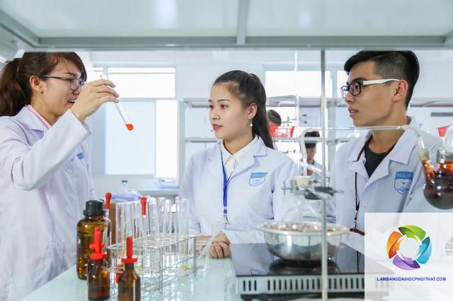 khối b00 có xét tuyển ngành dược không - Image 3