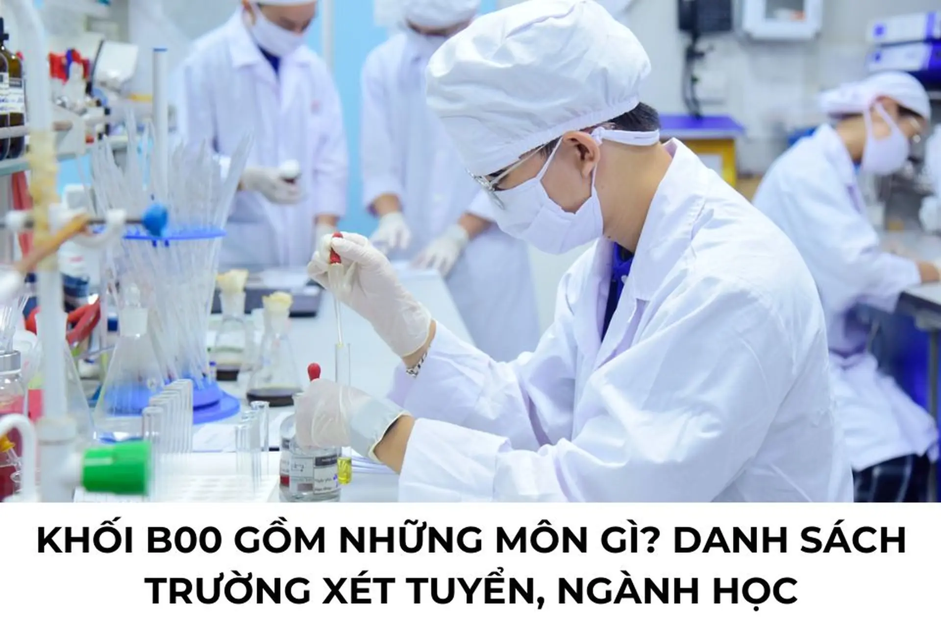 khối b00 gồm những ngành sức khỏe nào - Image 5