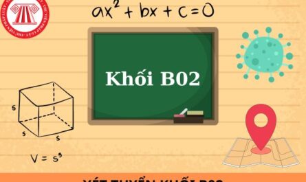 khối b02 gồm những môn nào