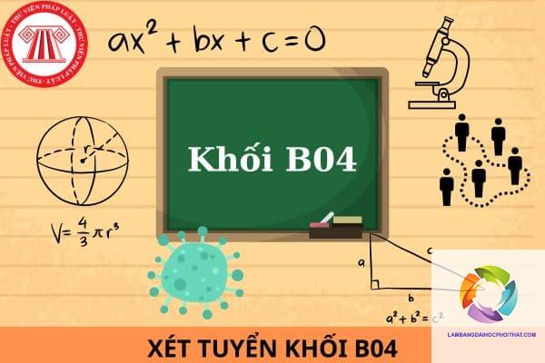 khối b04 gồm những môn nào - Image 3