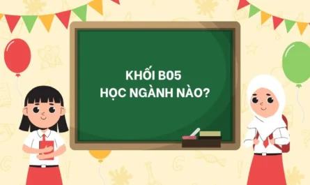khối b05 gồm những môn nào