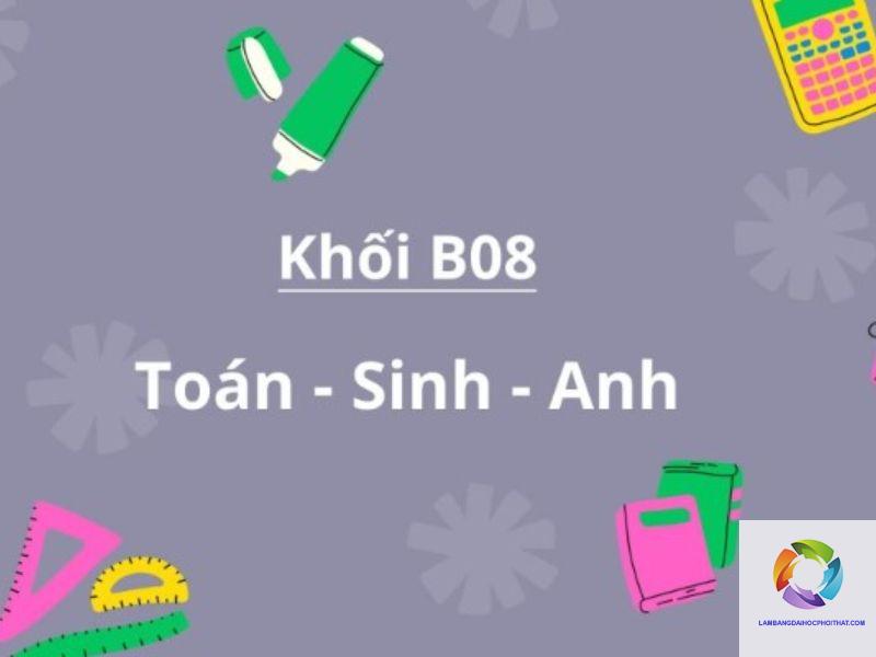khối b08 gồm những môn nào - Image 3