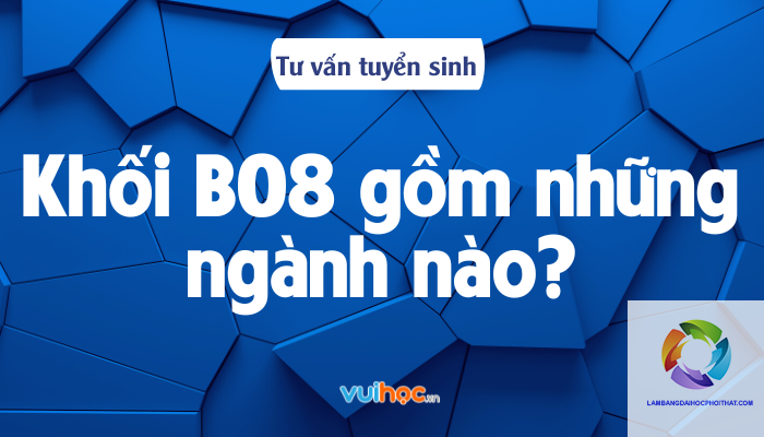 khối b08 gồm những môn nào