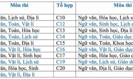 khối c00 xét tuyển ngành nào