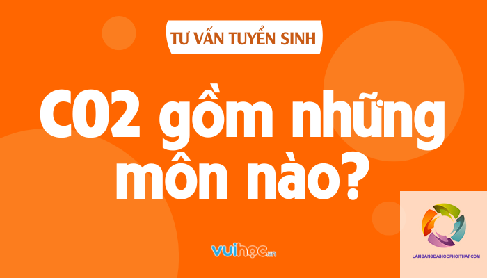 khối c02 gồm những môn nào - Image 2