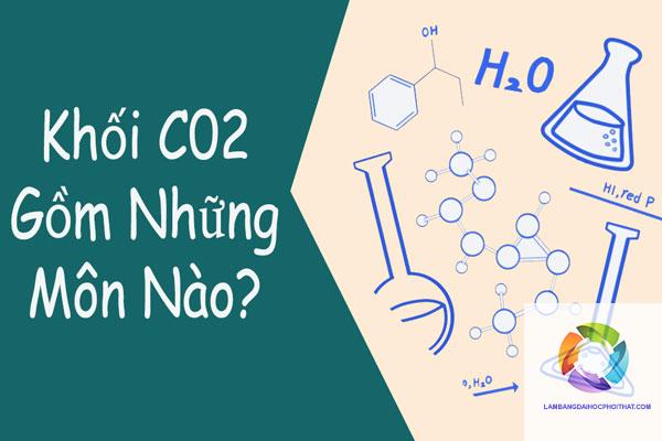 khối c02 gồm những môn nào - Image 4
