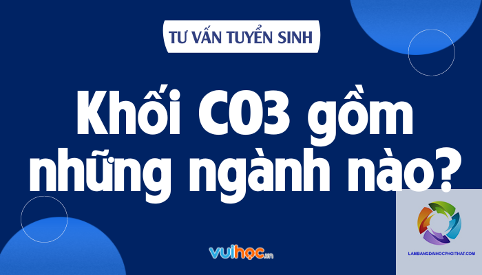 khối c03 gồm những môn nào - Image 5