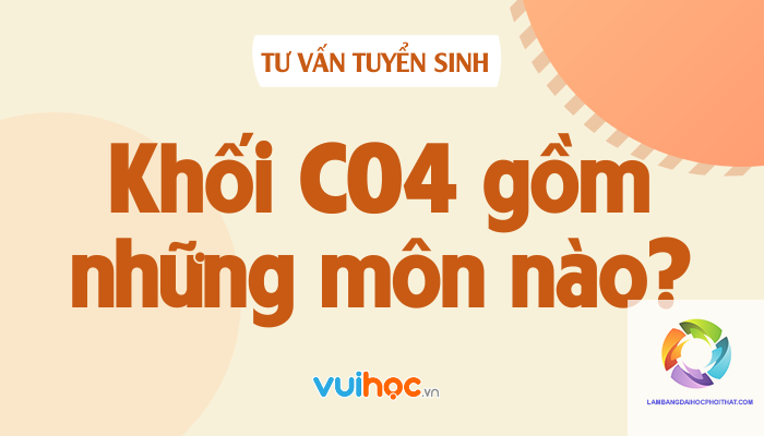 khối c04 gồm những môn nào - Image 3