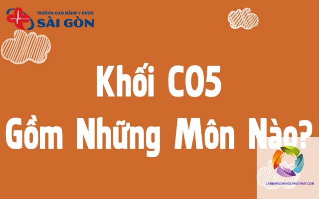 khối c05 gồm những môn nào - Image 4