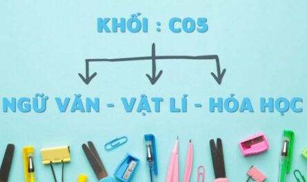 khối c05 gồm những môn nào