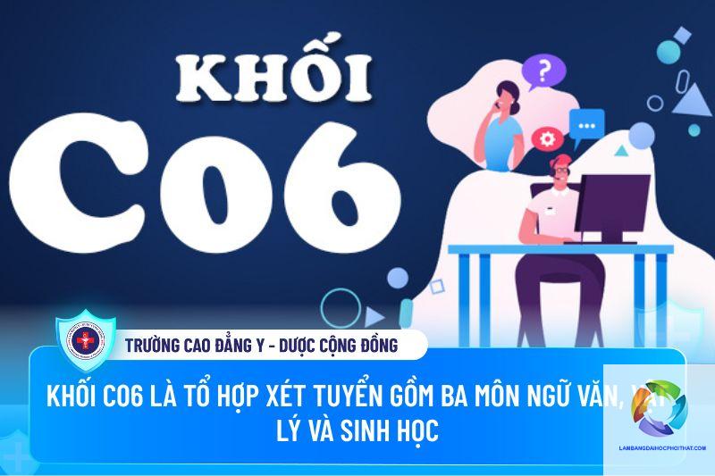 khối c06 gồm những môn nào - Image 2