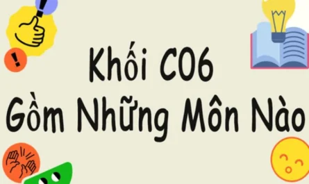 khối c06 gồm những môn nào