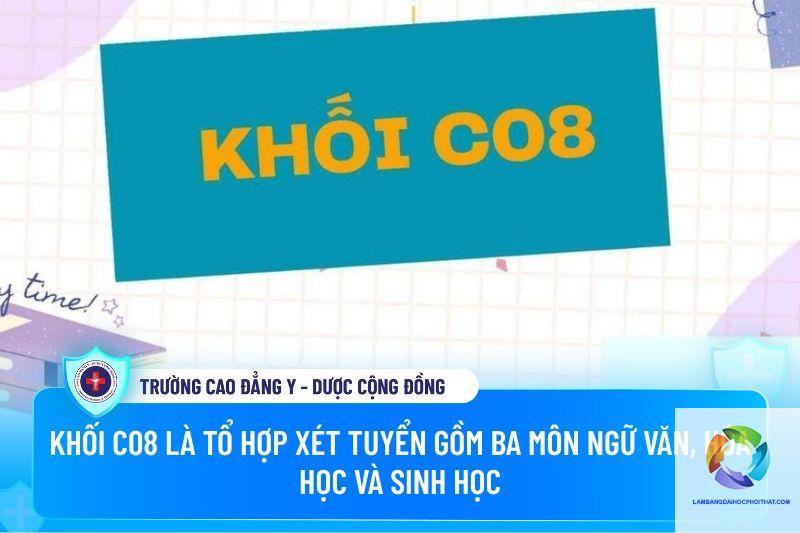 khối c08 gồm những môn nào - Image 2