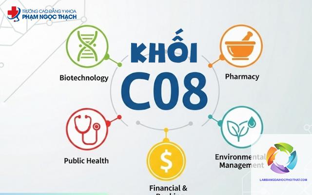 khối c08 gồm những môn nào - Image 3
