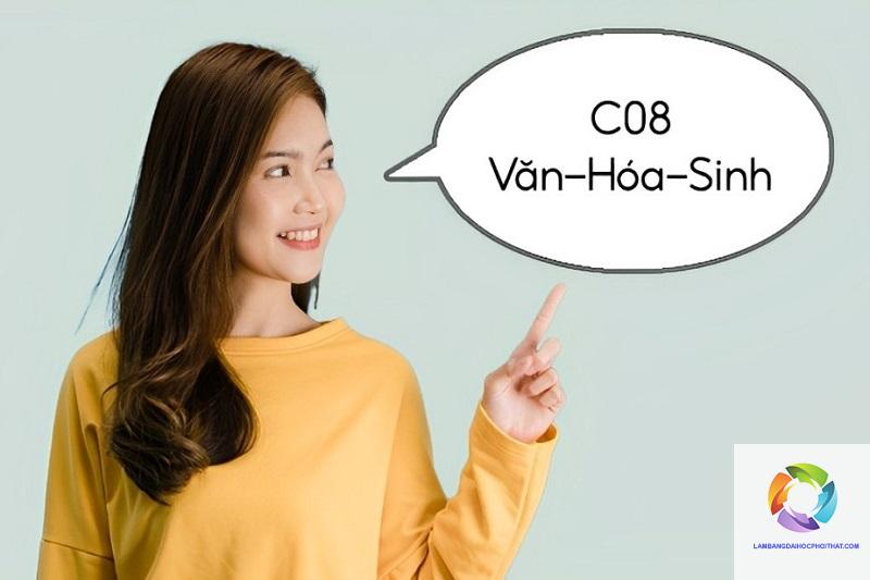 khối c08 gồm những môn nào - Image 4
