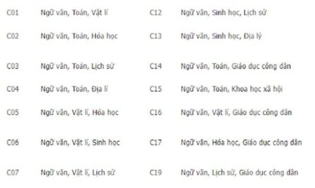 khối c09 gồm những môn nào