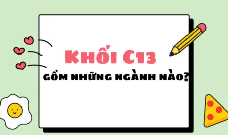 khối c13 gồm những môn nào