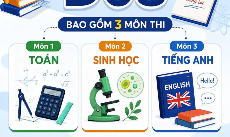 Khối D08 Gồm Những Môn Nào? Cập Nhật Mới Nhất Về Ngành Nghề Và Điểm Chuẩn
