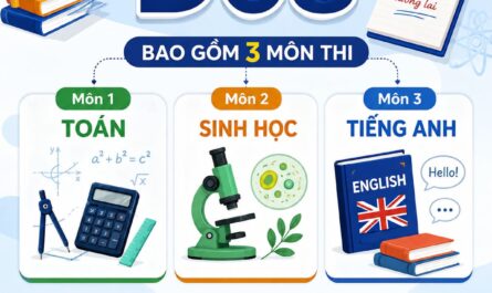 khối d08 xét tuyển ngành nào