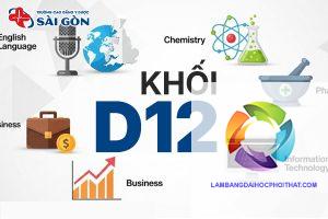 khối d12 gồm những môn nào - Image 2