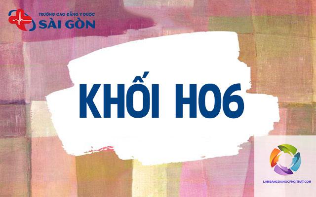 khối h06 gồm những môn nào - Image 2