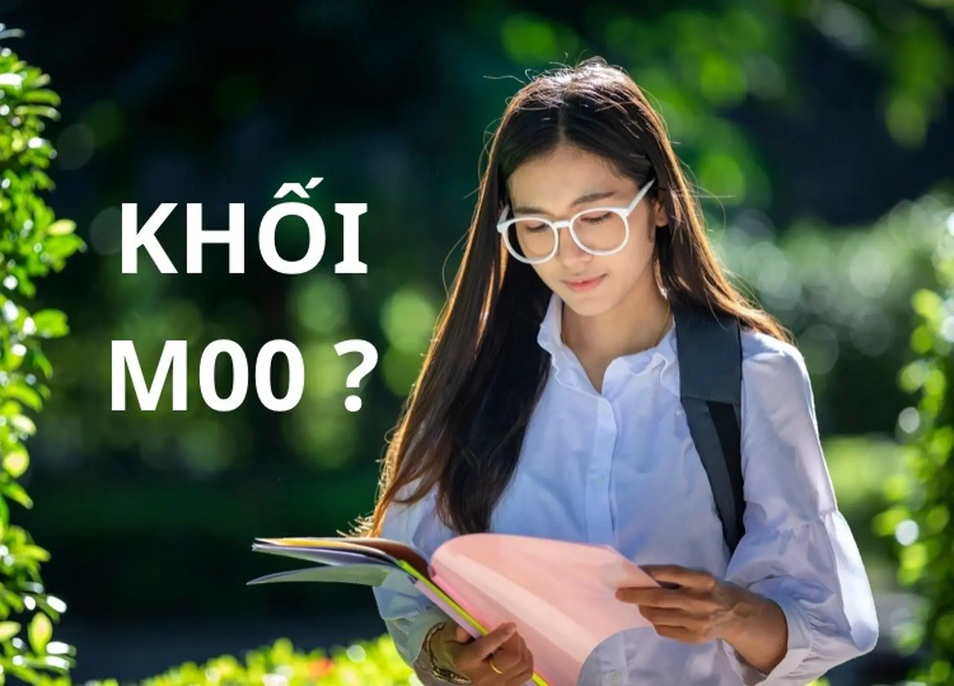 khối m00 gồm những môn nào - Image 3