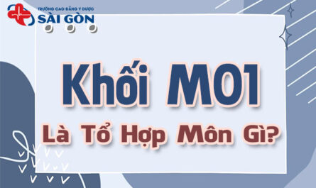 khối m01 gồm những môn nào