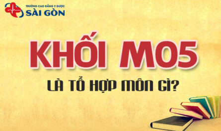khối m05 gồm những môn nào