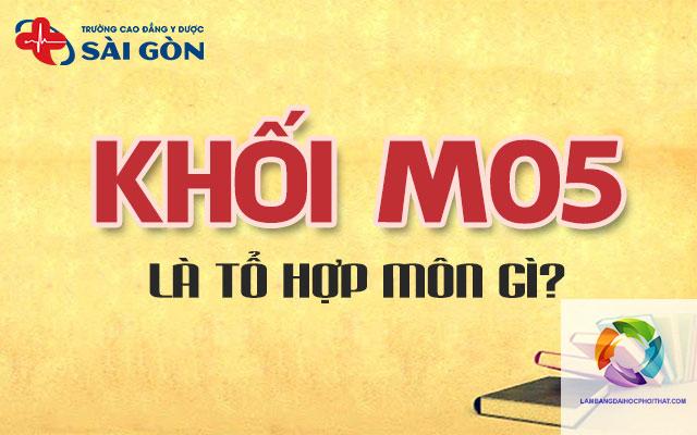 khối m05 gồm những môn nào - Image 1