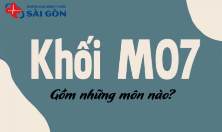 khối m07 gồm những môn nào