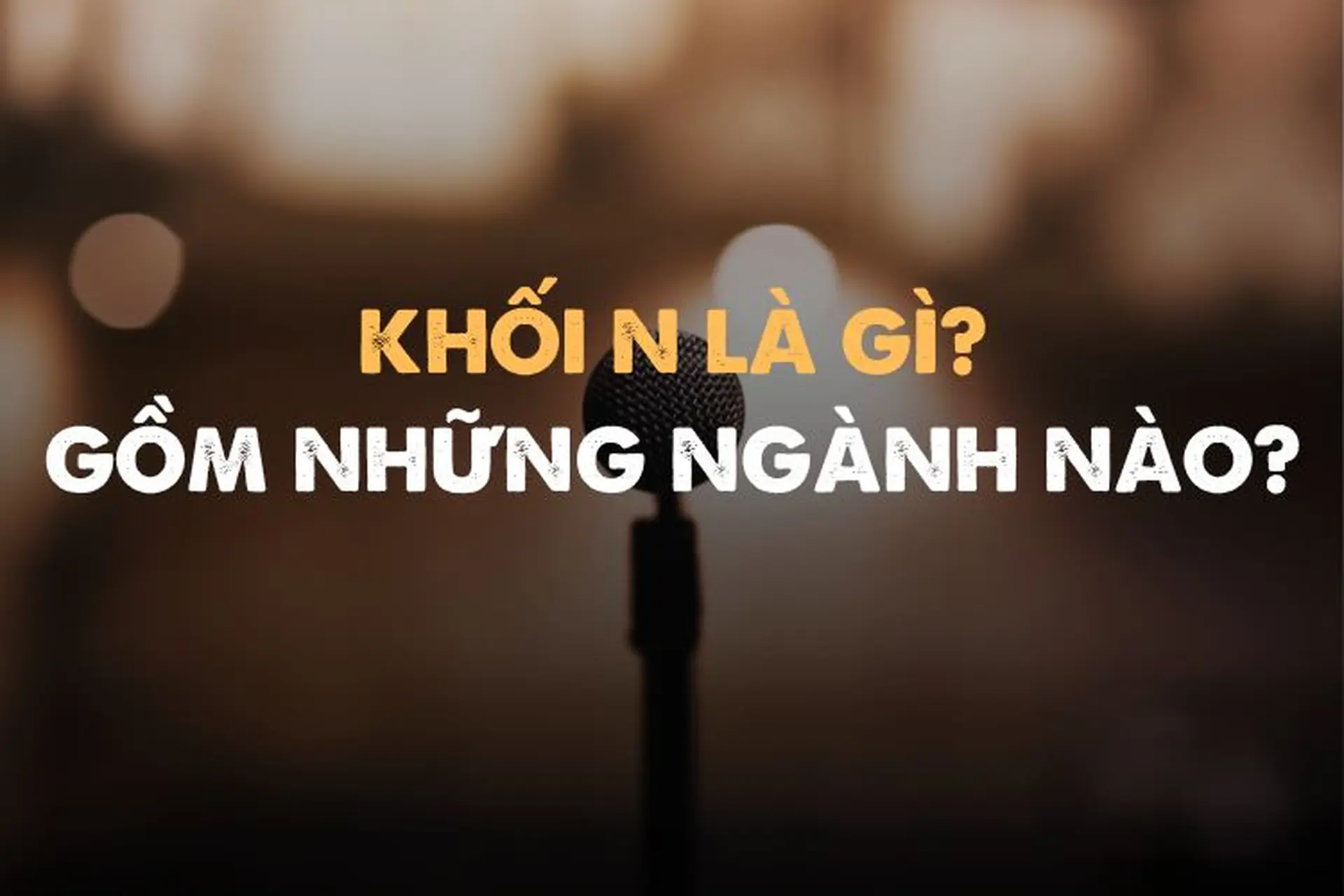 khối n00 học ngành gì - Image 3